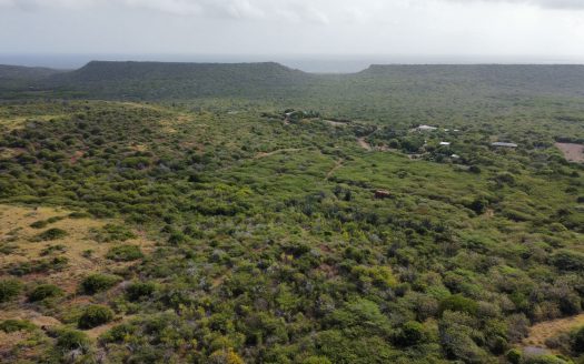 For Sale: Prime Lot in Bandabou!